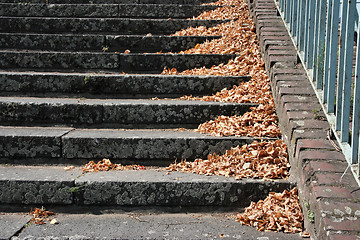 Image showing Autumn scene