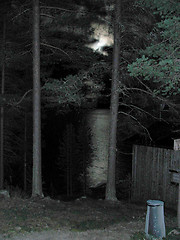 Image showing Moonlight trash