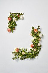 Image showing Greeting card from evergreen branches and coral flowers.