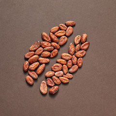 Image showing Natural cocoa peas in the shape of big bean.