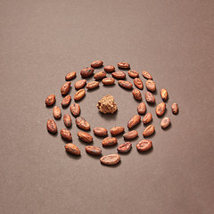 Image showing Cacao peas in the shape of round frame with cocoa mass.