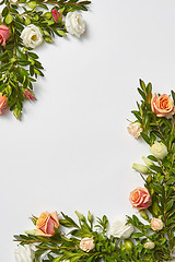 Image showing Green leaves border from evergreen leaves anf roses flowers.