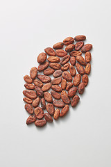 Image showing Big bean from freshly dried natural cocoa peas.