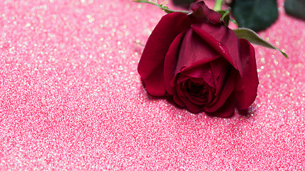 Image showing Rose over pink abstract background with bokeh