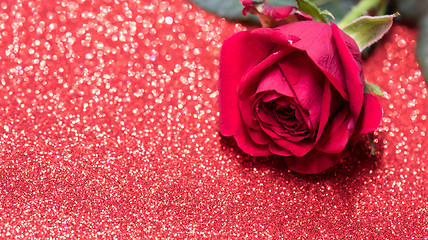 Image showing Rose over red abstract background with bokeh