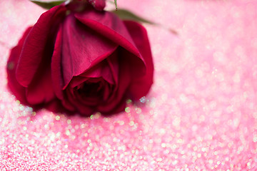 Image showing Rose over pink abstract background with bokeh