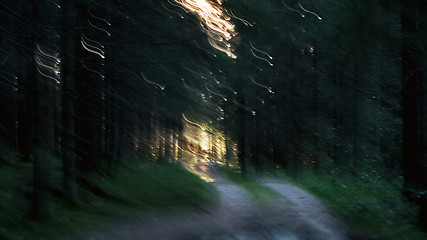 Image showing Motion Blurred Background Of Sunlight Streaks In A Dark Forest 