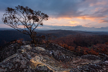 Image showing Sunset sky and rain over burnt bushland in Australia