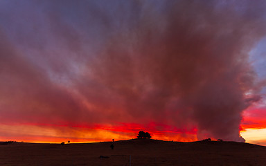 Image showing Bushfire near Braidwood