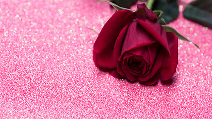 Image showing Rose over pink abstract background with bokeh