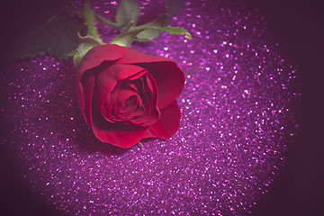 Image showing Rose over purple abstract background with bokeh
