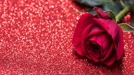 Image showing Rose over red abstract background with bokeh