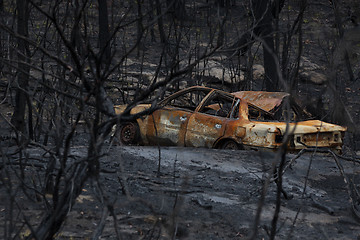 Image showing Old abandoned car burnt out during bush fires