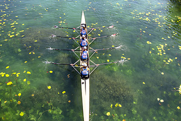 Image showing Women's quadruple rowing team on green lake