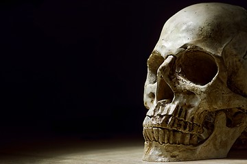 Image showing Human skull close up photo