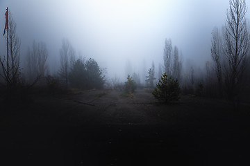 Image showing Dark abandoned road in the forest