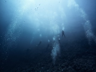 Image showing Scuba diver descending to the bottom