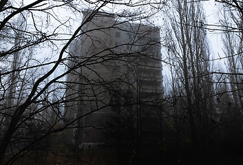 Image showing Abandoned building in the woods at ghost city