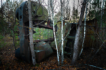 Image showing Fallen tree on abandoned truck left outside