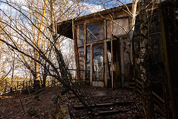 Image showing Forest reclaiming the Zone, in Chernobyl