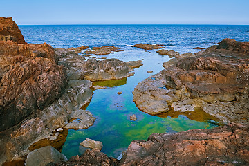 Image showing Rocky Coast