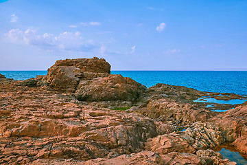 Image showing Rocky Coast