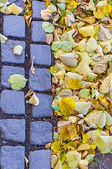 Image showing Leaves Cobblestone