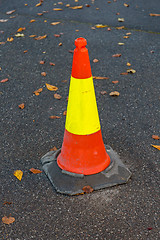 Image showing Fluorescent Cone