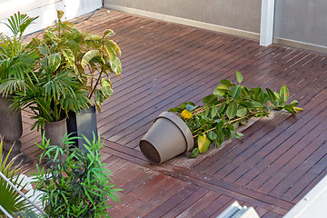 Image showing Overturned Plant Pot 