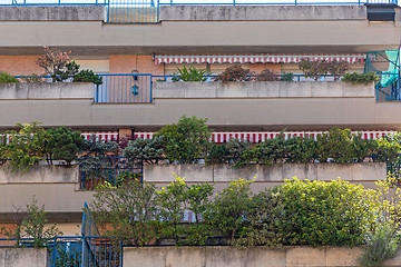 Image showing Long Balconies Trees
