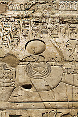 Image showing Ancient stone wall with Egyptian hieroglyphs