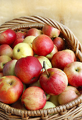 Image showing Bright ripe apples close-up in a basket
