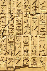 Image showing Ancient egyptian hieroglyphs carved on the stone in the Karnak T