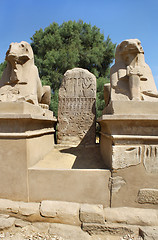 Image showing Statue of Ram Headed Sphinx in Karnak Temple, Luxor, Egypt