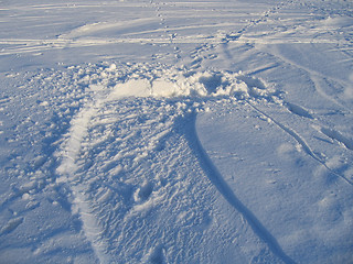 Image showing Winter background with snow