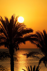Image showing Beautiful seascape with morning sun and palm trees