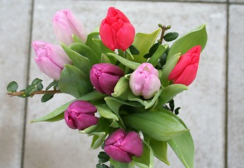 Image showing Springtime flowers - bouquet of lovely Tulips