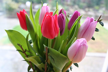 Image showing Springtime flowers - bouquet of lovely Tulips