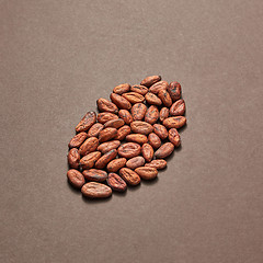 Image showing Cocoa seeds in the shape of big cocoa bean.