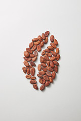 Image showing Cocoa fresh natural peas in the shape of coffee bean.