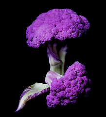 Image showing Fresh Purple Cauliflower