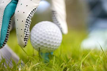 Image showing Hand in glove placing golf ball on tee