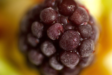 Image showing close up photo of blueberry fruit salad