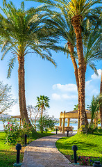 Image showing Public park in Luxor