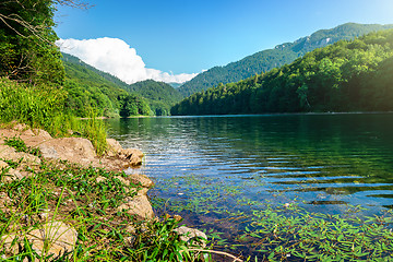 Image showing National park in Montenegro
