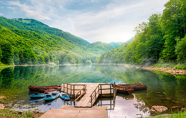 Image showing Biogradska Lake in National Park