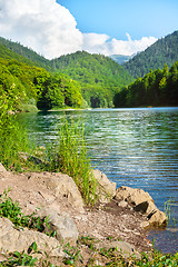 Image showing Lake in park of Montenegro