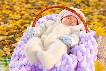 Image showing Two-month-old baby sleeps serenely in basket amid yellow foliage park