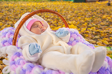 Image showing Baby sleeps in basket in autumn park