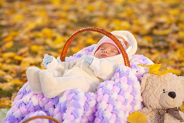 Image showing Baby sleeps in basket in autumn park, sitting next to a Teddy bear